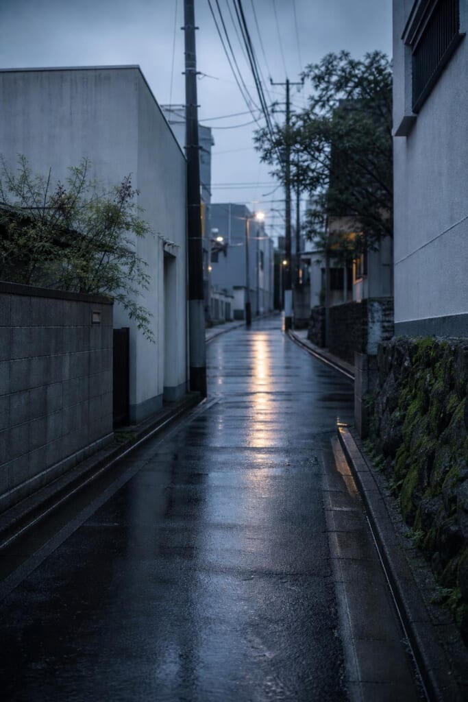 雨上がりの夕方の、人のいない東京の細い路地