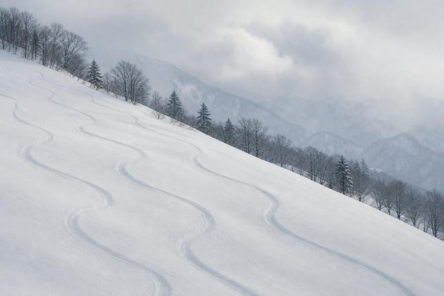新雪の斜面に描かれた、なだらかな曲線のスキーの跡